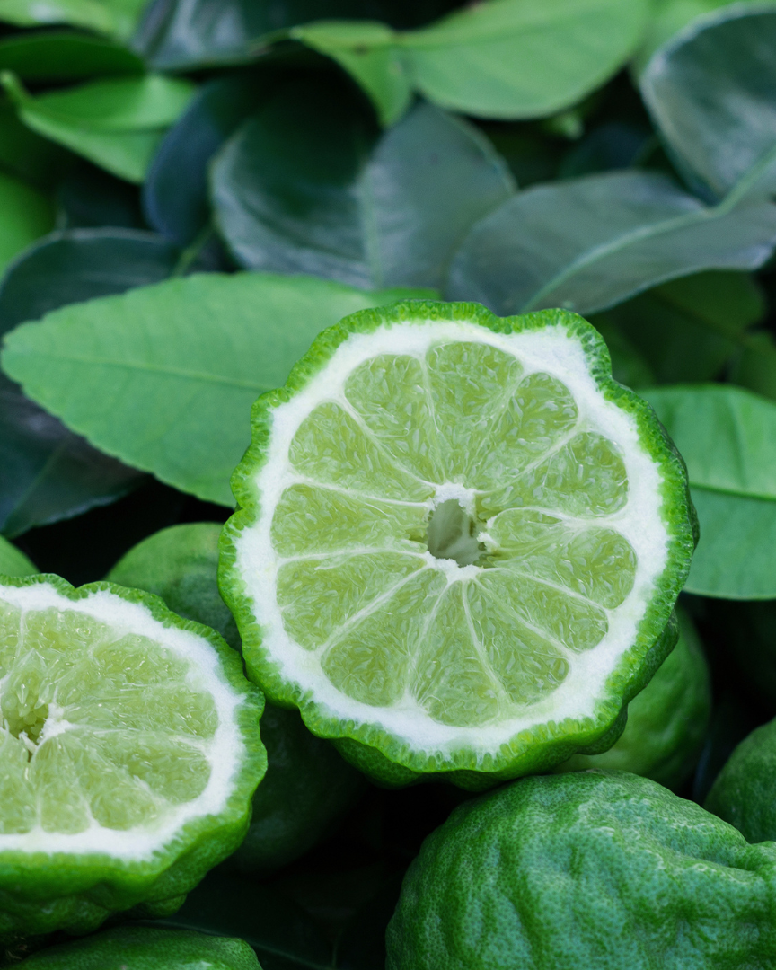 BERGAMOT Citrus bergamia Essential oil 10 ml.