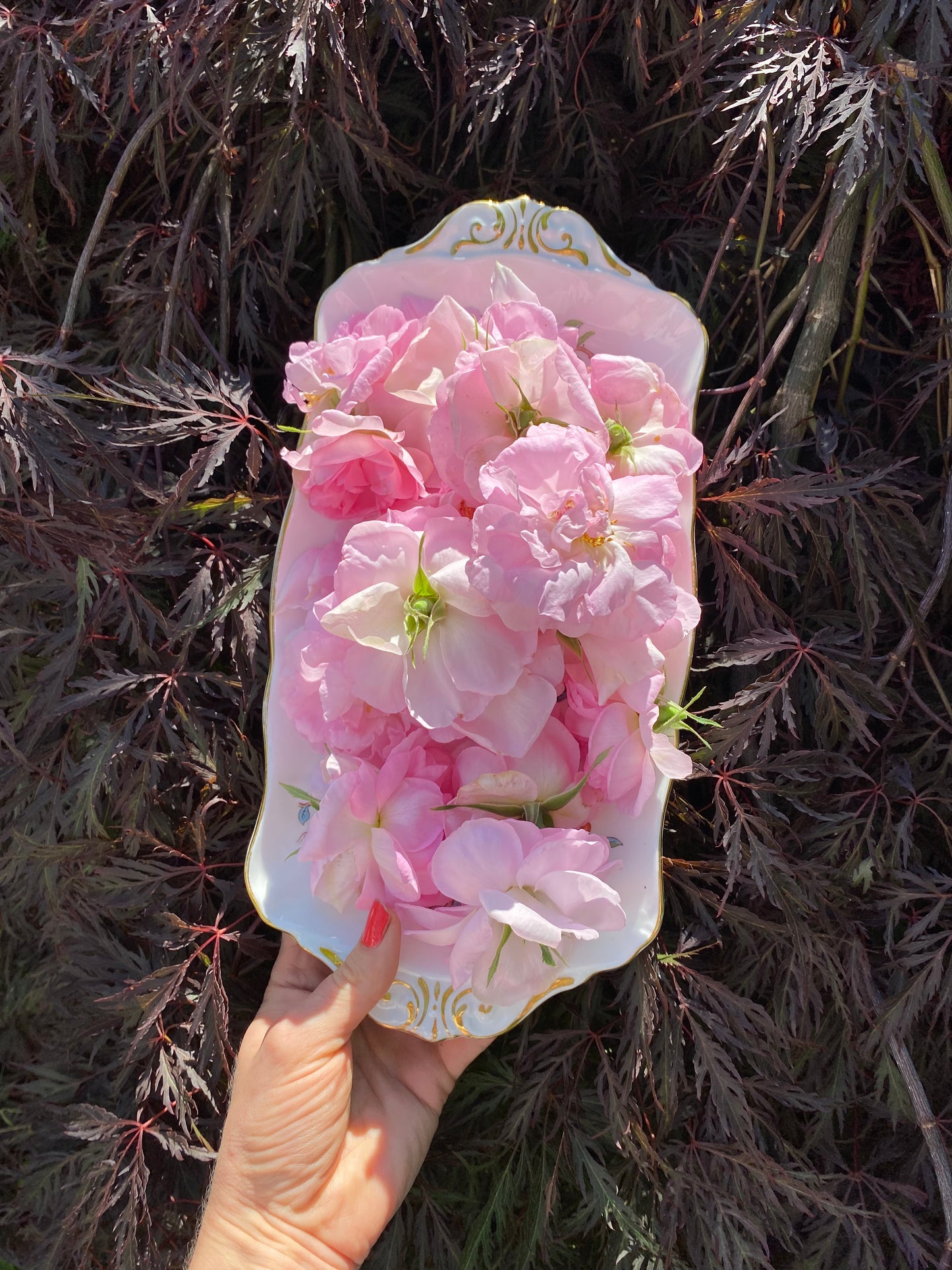 BLUSH Rose Incense Eau de Parfum 50 ml.