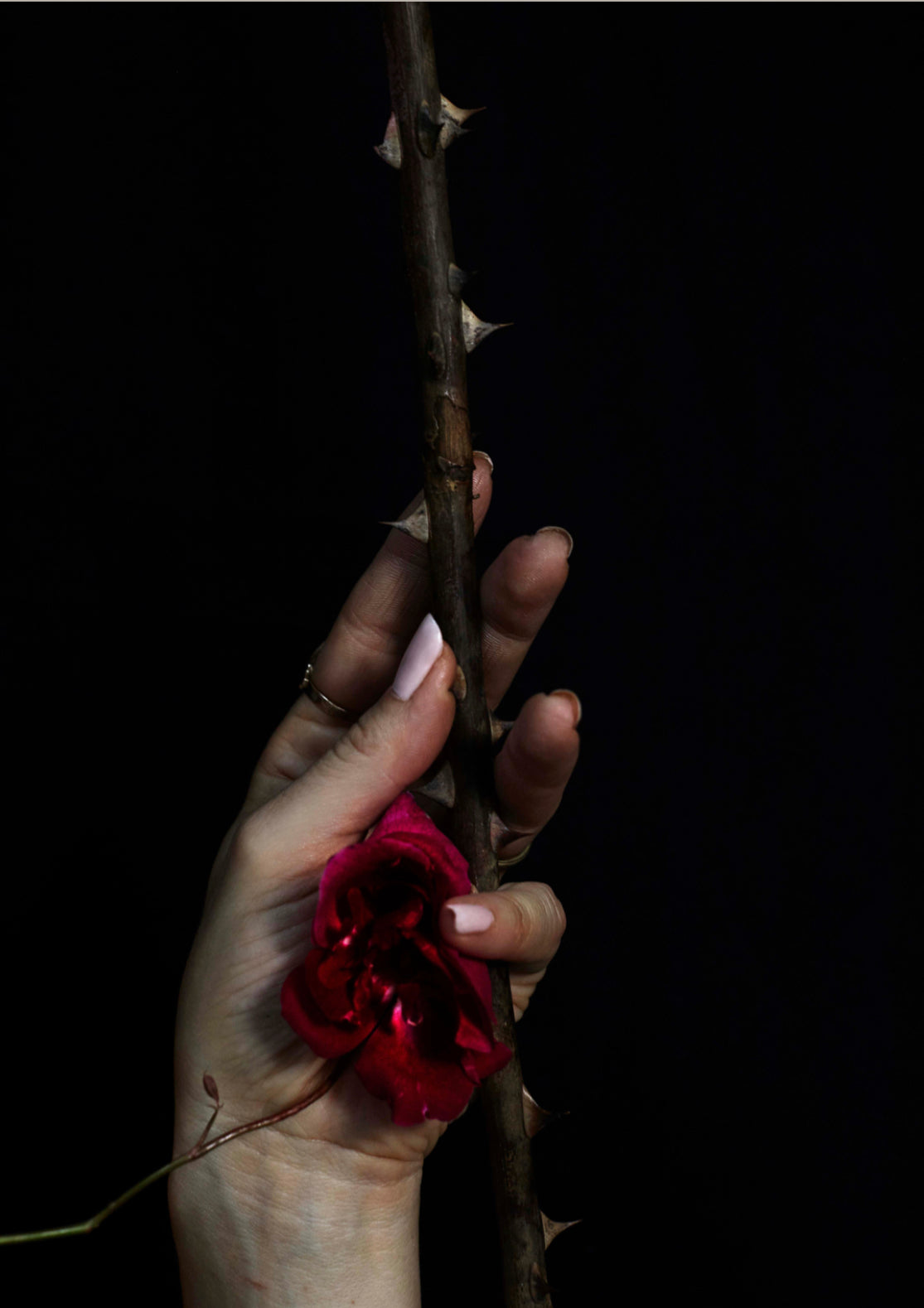 BLUSH Rose Incense Eau de Parfum 50 ml.