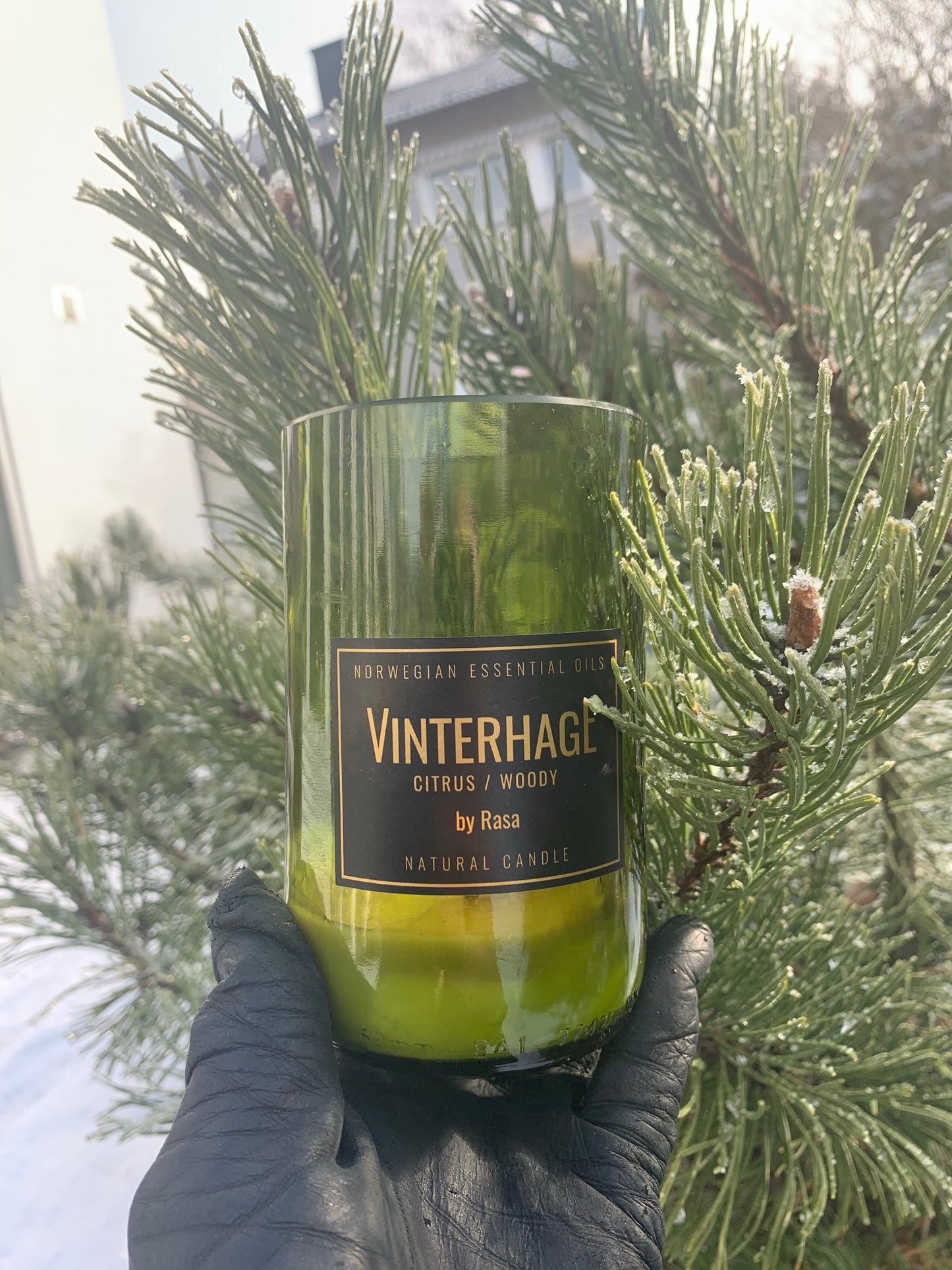 WINTER GARDEN Mediterranean citruses & nordic woods 600 g