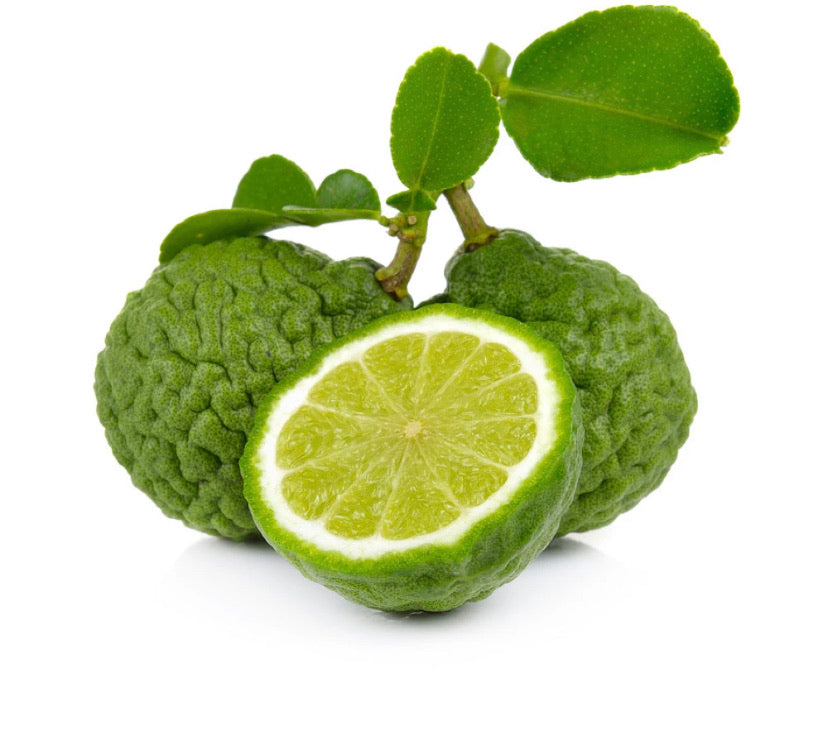 BERGAMOT Citrus bergamia Essential oil 10 ml.