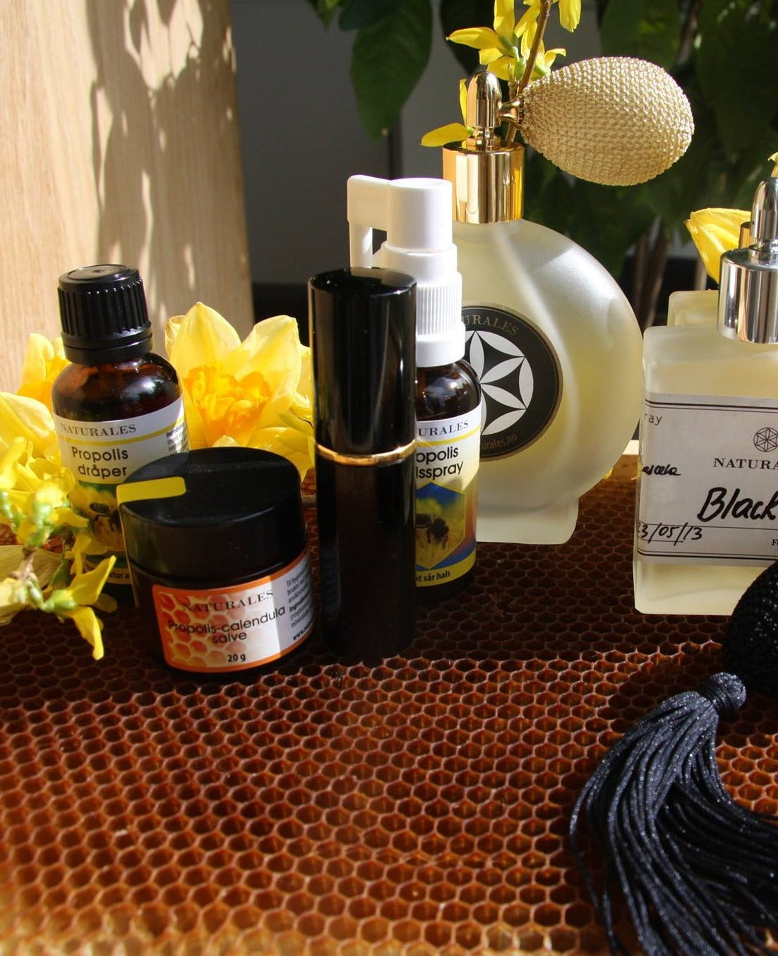 Propolis Capsules (60) 290 mg.