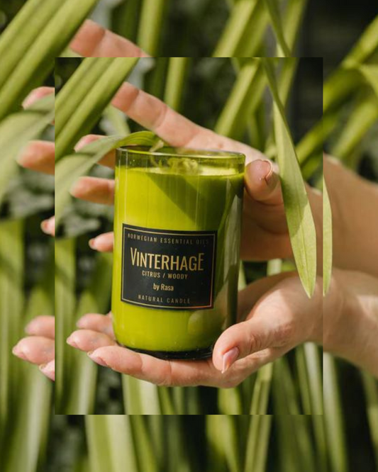 WINTER GARDEN Mediterranean citruses & nordic woods 600 g