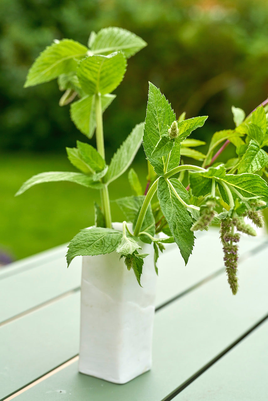 MINT Mentha piperita 10 ml.