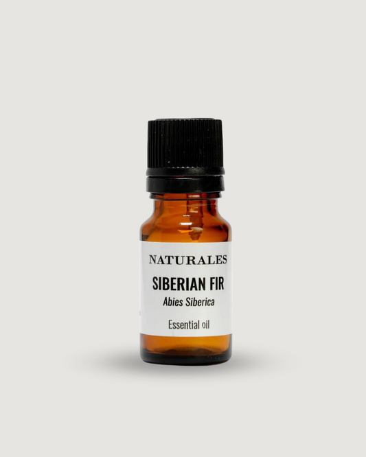 SIBERIAN FIR Abies siberica 10 ml.