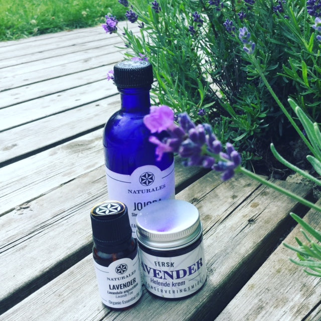 LAVENDER organic hydrosol in classic murano blue glass 100 ml.