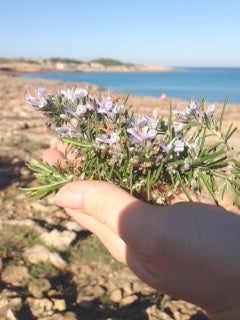 ROSEMARY Rosmarinus officinalis 10 ml.