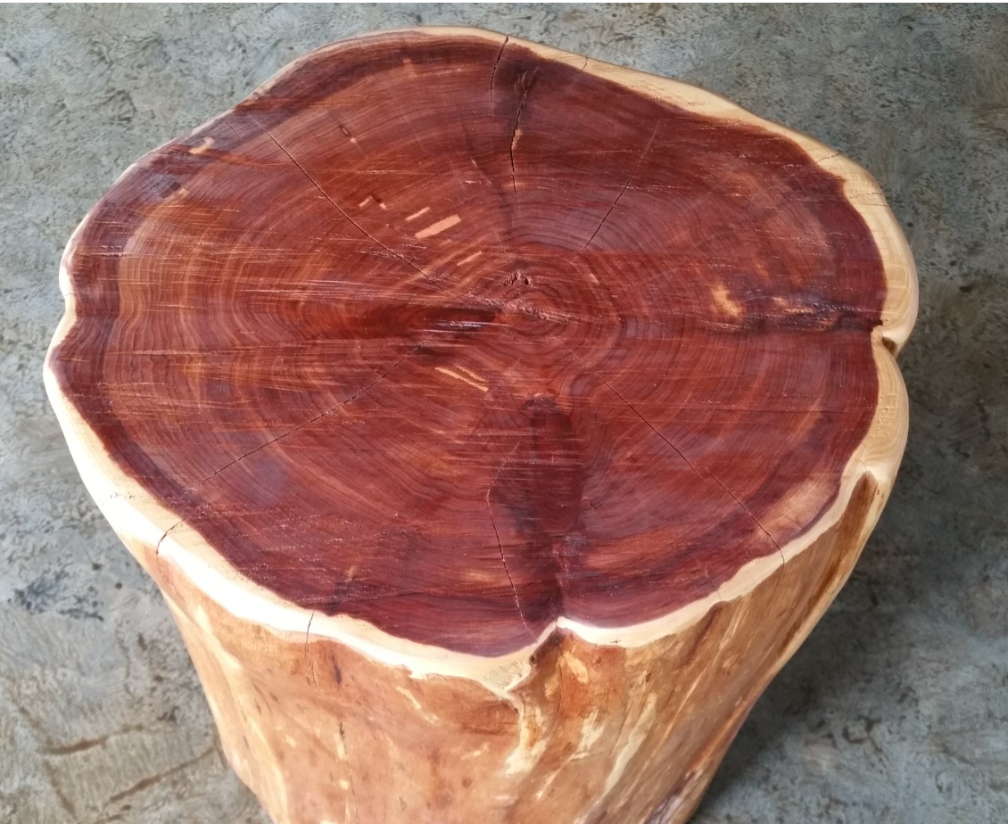 CEDARWOOD Cedrus atlantica 10 ml.