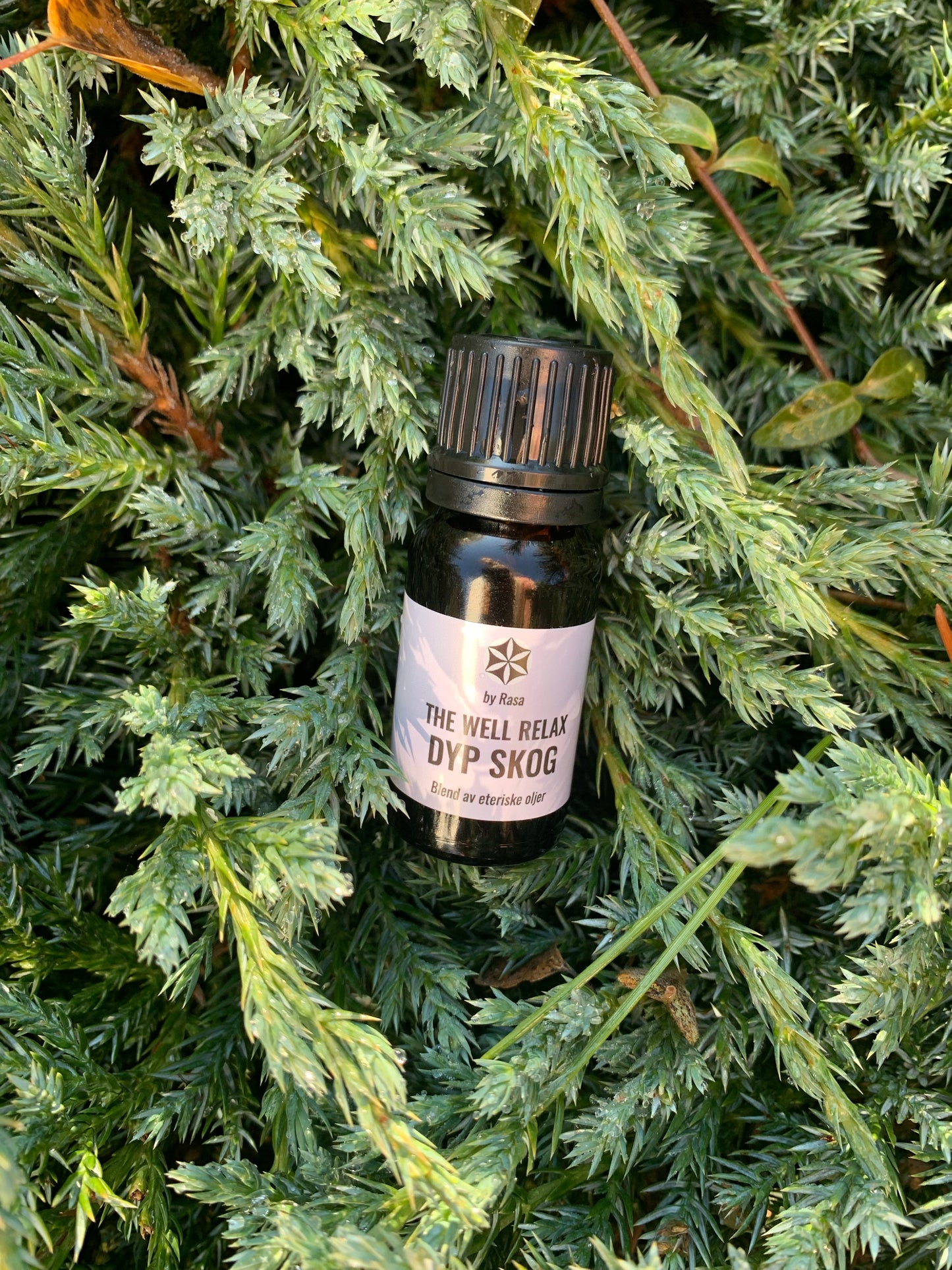 DEEP SKOG The Well Relax blend 10 ml.