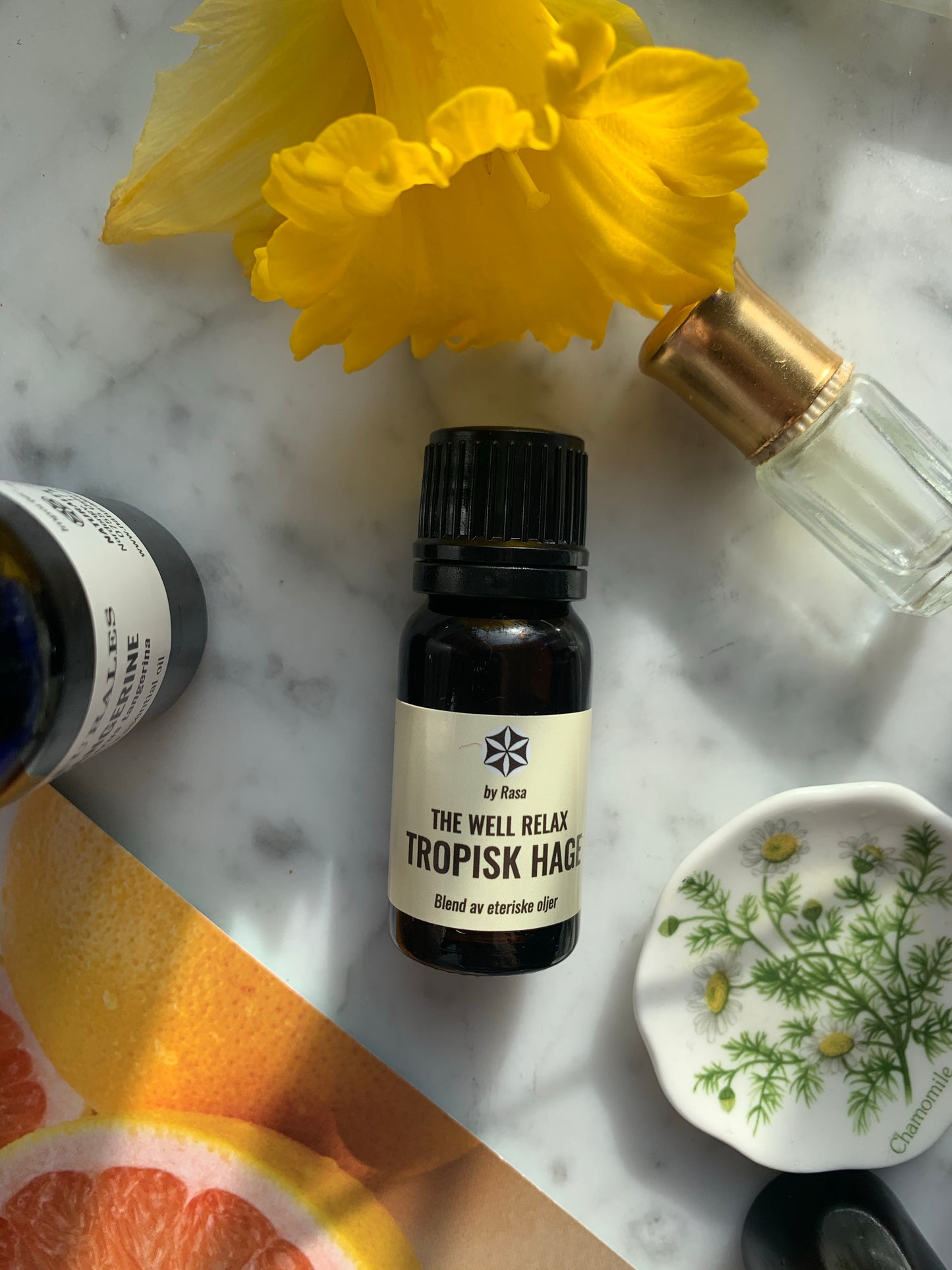 TROPICAL GARDEN The Well relax blend 10 ml