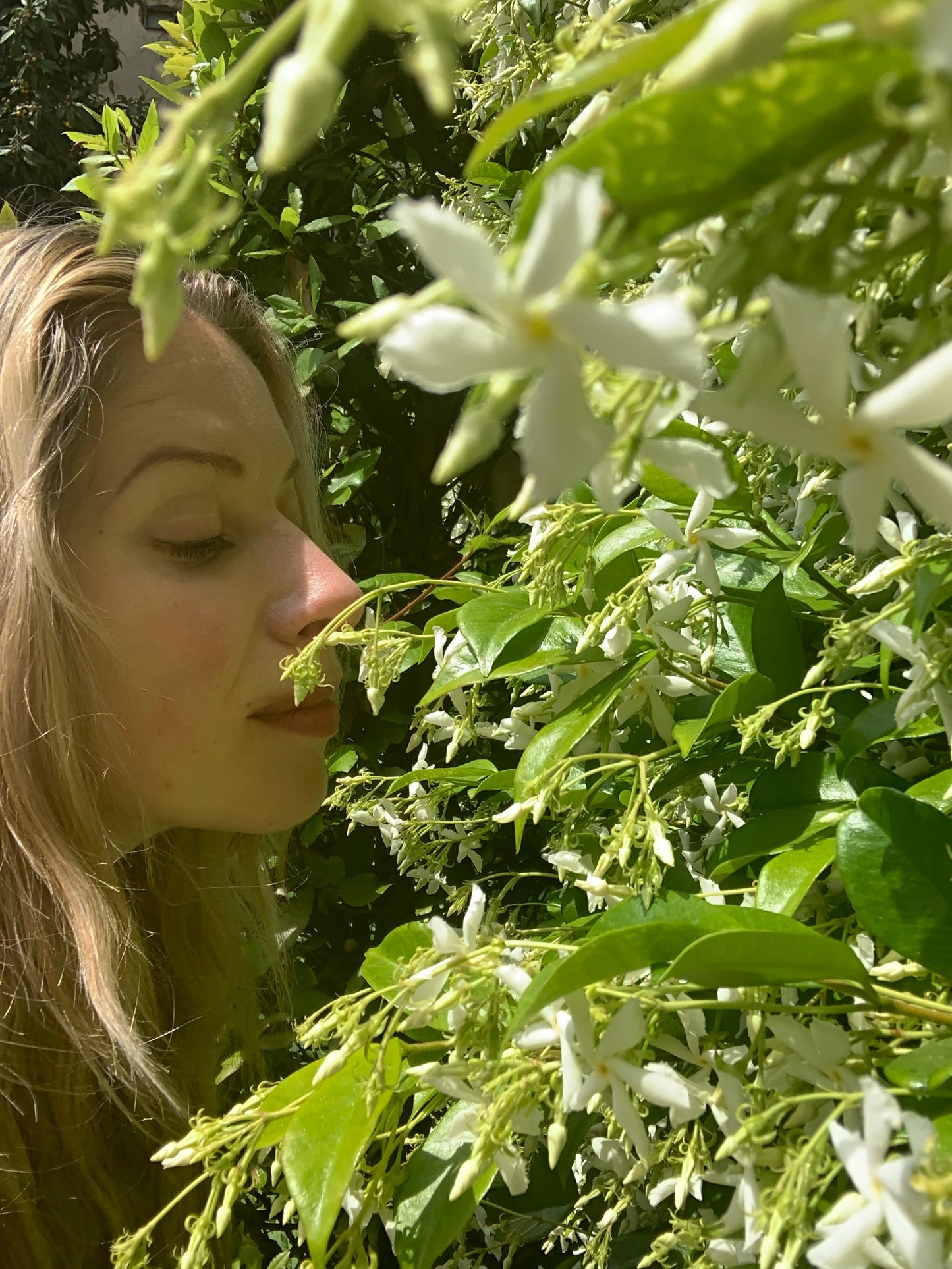 NIGHT OUT | NIGHT FLOWER by Rasa Gundersen, perfume oil 50 ml.