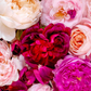 Rose ABSOLUTE / Rosa damascena 2.5 ml.