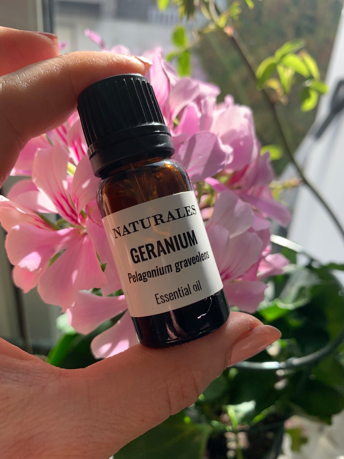 GERANIUM Pelargonium graveolens extra soft organic 10 ml.