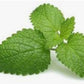 MELISSA / LEMON BALM / Melissa officinalis 2.5 ml.