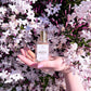 Parfum Discovery Set