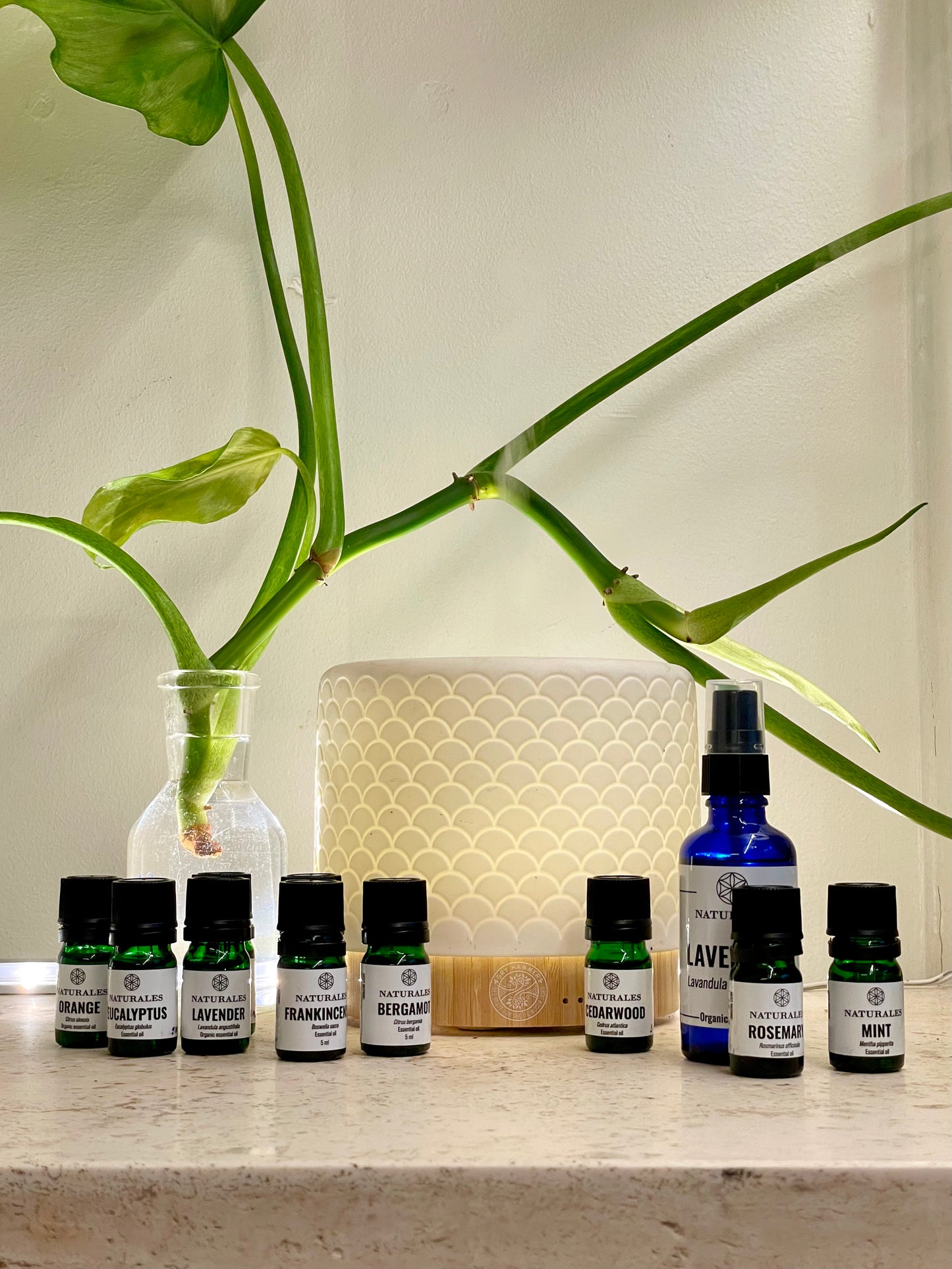 Aroma Relax Kit