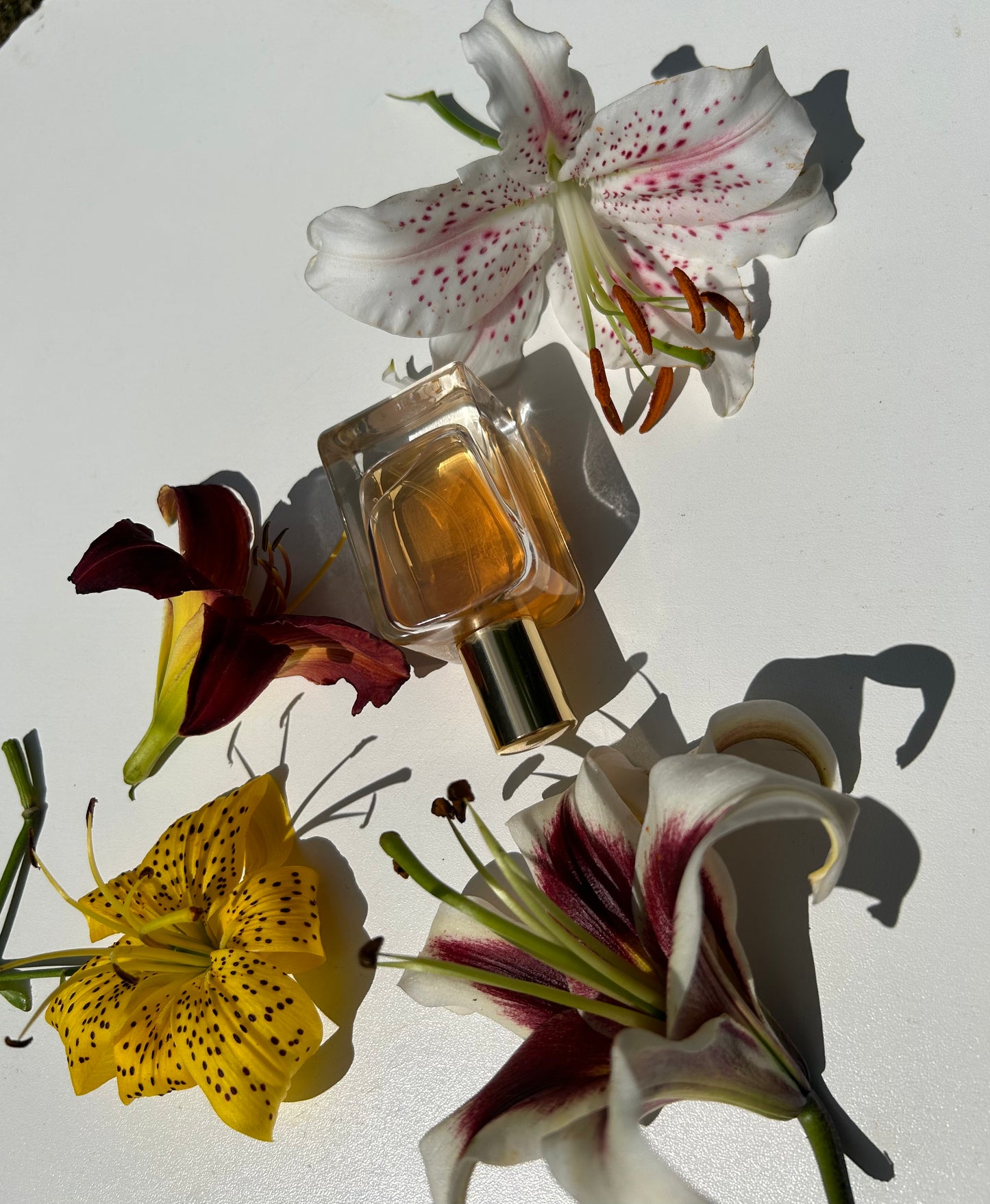 Parfum Discovery Set